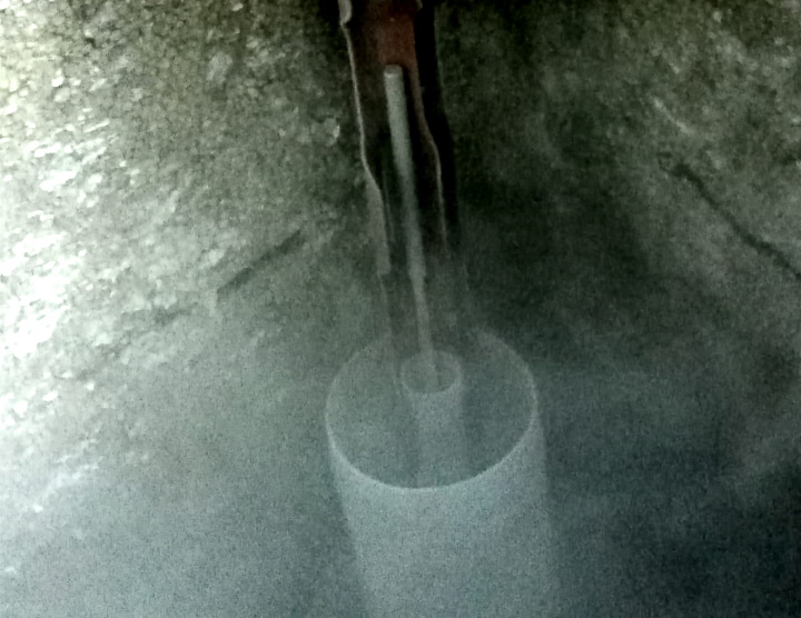 canister de embriões