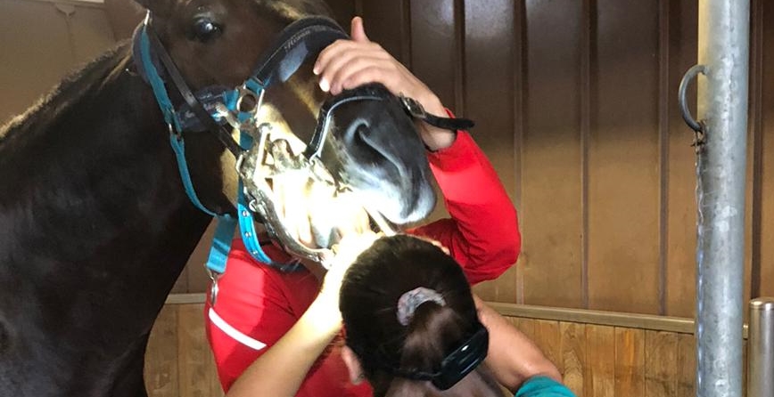 Embriovet Inseminação Artificial